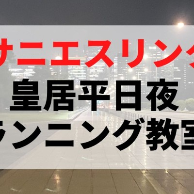 火曜夜皇居サニエスリンク練習会実施中。メンバー募集