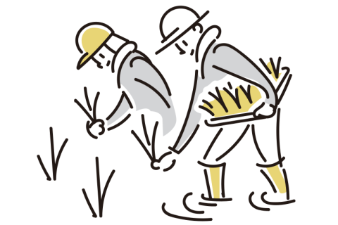 9月7日(土)16:00〜 ” TANBO no KUSATORI "RUN