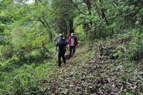 東大阪の枚岡公園で森林整備体験をしよう！