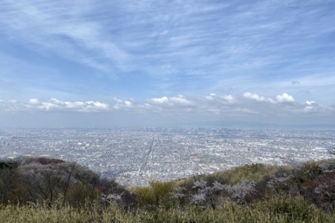 IKOMA Nature Trail 2025(45ｋｍ)　ボランティアスタッフ募集
