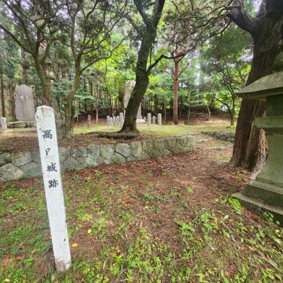 【お城マラソン】奇跡の一本松マラソン