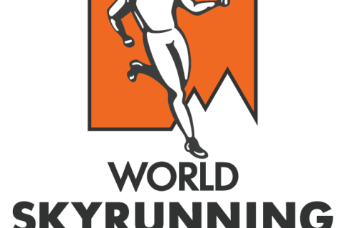 2024日本代表応援Tシャツ 購入サイト