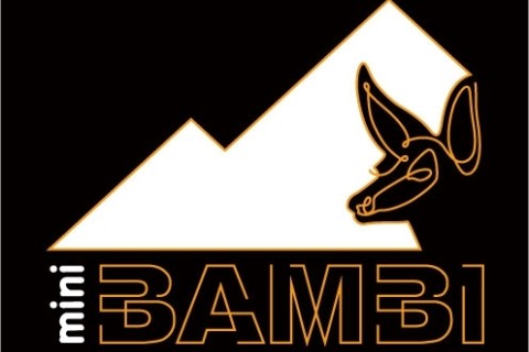 mini BAMBI