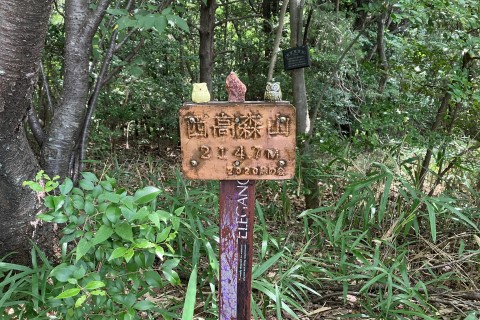 春日井四山トレラン交流会