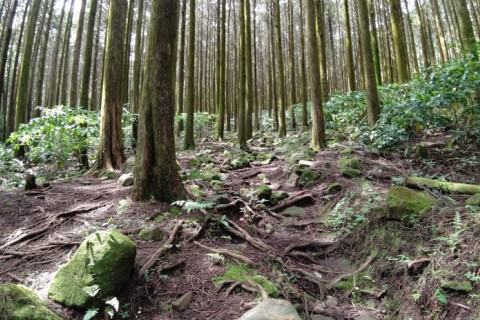 金峰山チャレンジトレイル2024