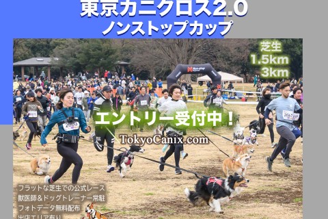 ドッグマラソン2024 東京カニクロス2.0