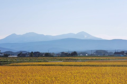 HIGASHIKAWA AUTUMN ECO TRAIL