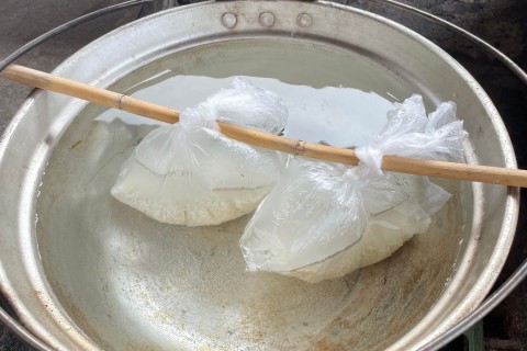 無人島（つたじま）でカードを使って楽しもう