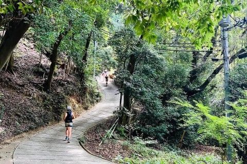 ◆1月12日(月・祝)きさいち【新春！激坂トレラン20th】獅子窟寺＆森エリア激坂登りチャレンジ！