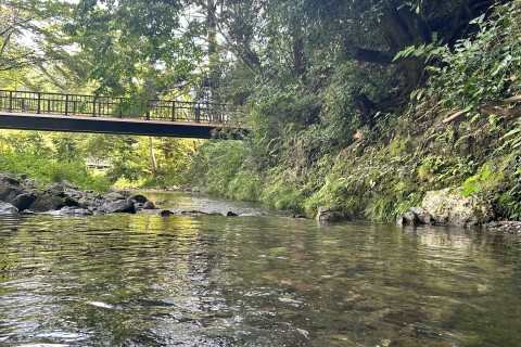 いちばんやさしいトレイルランニング presented by BRING #1