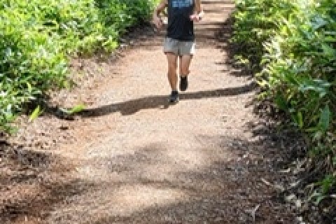 ゆっきー練☆標高1800mの湯の丸高原で走ろう！20km〜30km