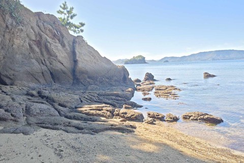 さあ、磯へ行こう！みて・調べて貝のきもちになろうツアー