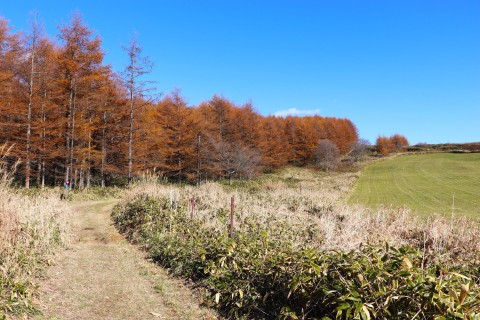 秋のハイキング「モアン山＆風の見える丘」