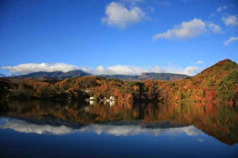 2024小海町紅葉ストロール 〜豆知識も楽しむウォーキング〜