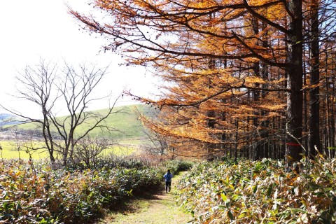 秋のハイキング「モアン山＆風の見える丘」