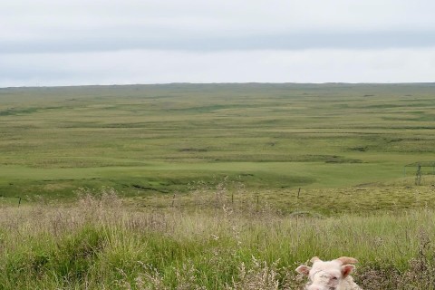 【清田勝氏トークショー: HIKE ICELAND -地図に線を引いた旅-】