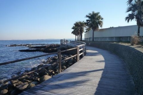 横須賀観音崎の秋に見渡すシービューツアーウォーク