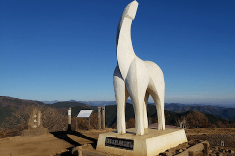 THINK TRAIL RUNNERS 練習１月 陣馬山往復走