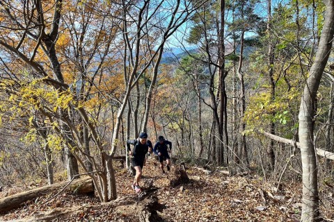 ITAトレイルランニング 2024【Iwanuma to Ayashi】