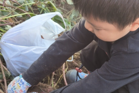 畑で走る！食べる！アグリスポーツ！～大根収穫編～