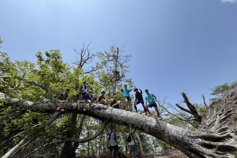 【追加募集】第三回コバ×コマ練@脊梁合宿 The Final