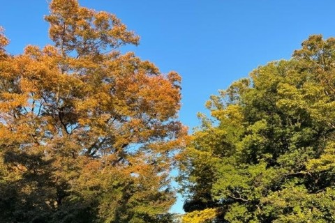 【ランニング】パーソナルトレーニング、グループトレーニング