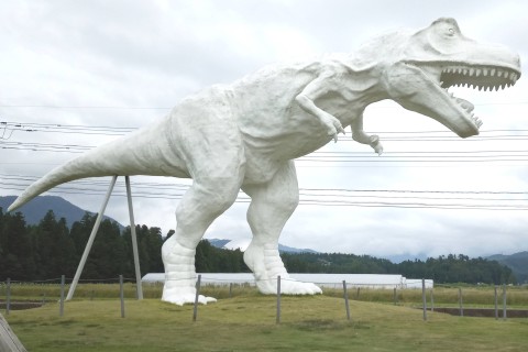 第1回　福井_ザウルスウォーキング