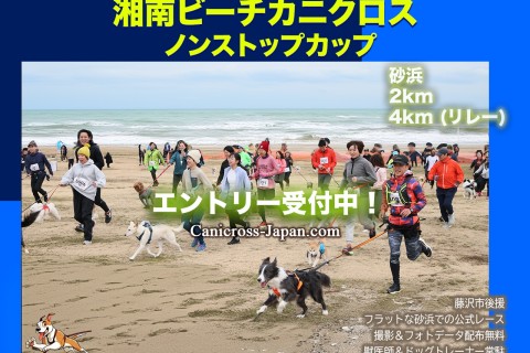 ドッグマラソン2025 湘南ビーチカニクロス