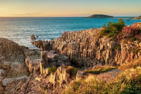 第1回　福井_ザウルスウォーキング