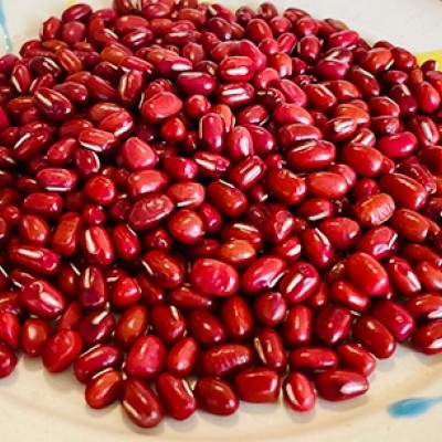 ジュニアあずきさん