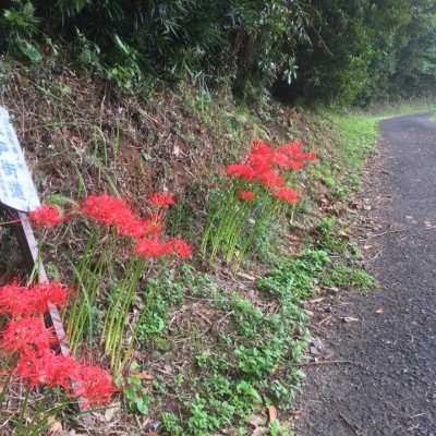 平戸街道ジョグトリップ since 2006