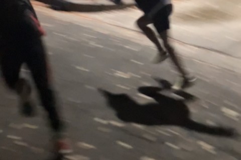 【大阪城公園】走り方改善！キッズパーソナル指導(かけっこ・50m・100m他)