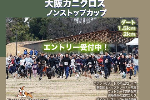 ドッグマラソン2024 大阪カニクロス