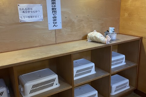 個人では行きにくい秘境千頭エリアを巡るゆるラン