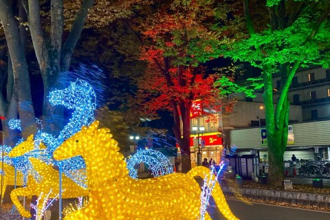 多摩エリアイルミーネーション巡りナイトラン