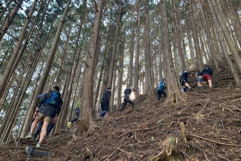 天地練#102 プチトレラン(初級★☆☆)