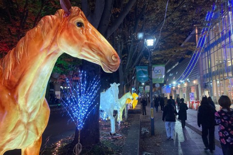 多摩エリアイルミーネーション巡りナイトラン