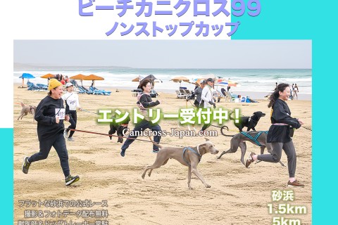 ドッグマラソン2025 ビーチカニクロス99