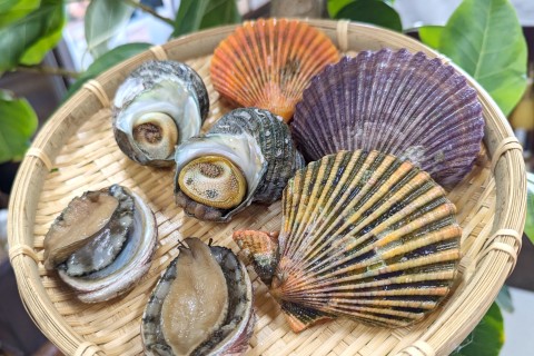 3/8～3/9　１００マイラーと行く！愛南・篠山トレイル合宿