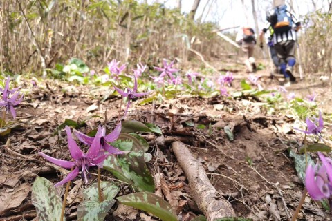 【ななロゲ】第2回 七ツ森トレイルロゲイニング　～ 殿、ななロゲでござる！ 春の奥州街道編 ～