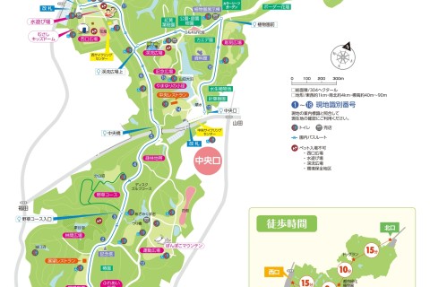 武蔵丘陵森林公園マラニック