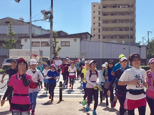 神戸マラソン試走会