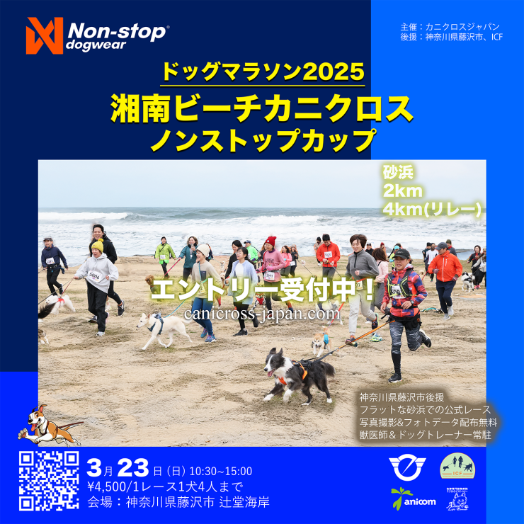 RUNNET連携画像2