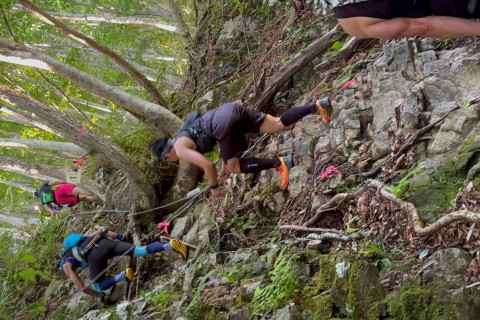 第13回　姫ボタル・瀞川平トレイルラン