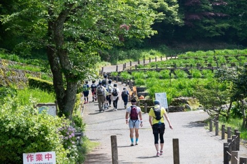 歴史と自然が感じられる 金沢を歩こう！金沢ウォーク2025