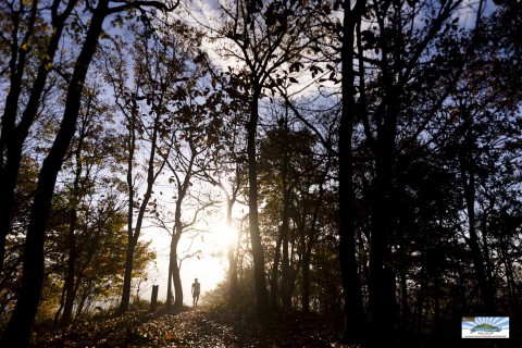 第3回 FunTrails Round 長念寺50Kチャレンジ