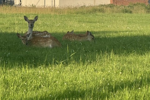 日本最北端★稚内ランランラン～港の湯発着　ノシャップ岬コース　約13km