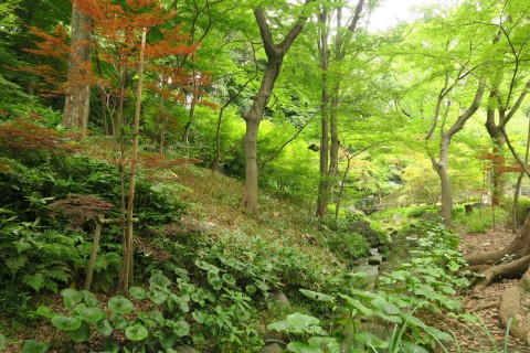春を楽しむピクニック散走 〜スポーツ自転車で公園へ行こう！〜