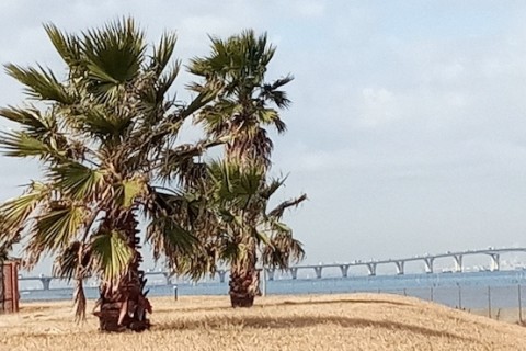 ぐるっと東京湾ウォーキング