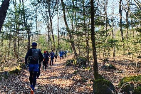 天地練#106 プチトレラン(初級★☆☆)